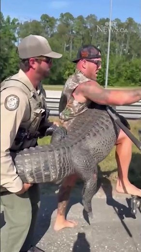 Man wrestles gator in Florida