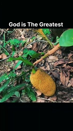 John 3:15 everyone who believes in Jesus Christ will have eternal life!! #faith #christianity #god