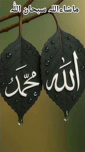 Who created Allah part 1 #islamicmusic #darood #beautiful #benefitsofdarood #love #new #peace