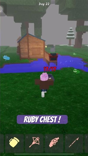 RUBY CHEST !