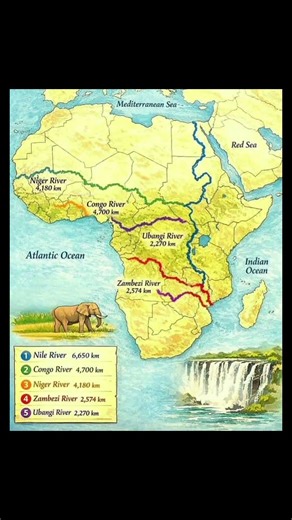 Africa's longest rivers: Nile, Congo, Niger, Zambezi, Ubangi flow majestically 🌍💧