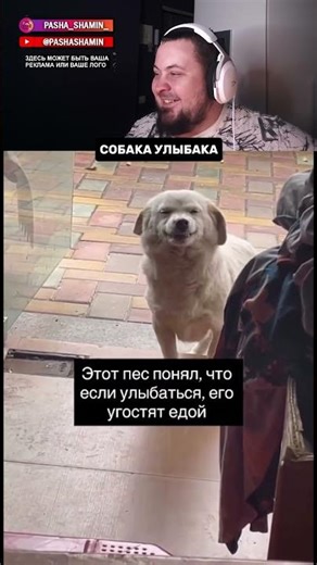 A dog gets treats for smiling.