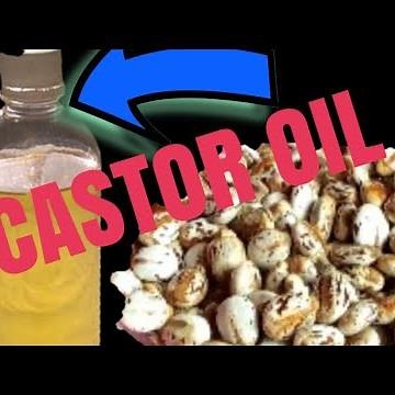 How to make homemade Castor Oil- 100% pure organic😱😱
