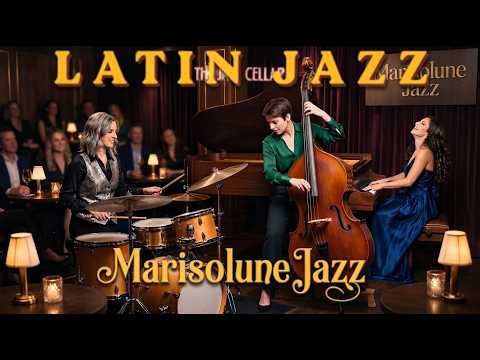 Latin Jazz Background Music 🎶 Smooth Instrumental Playlist for Work, Lounge & Dining / Jazz Latin