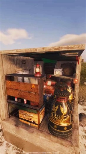 1x2 Starter In Rust.