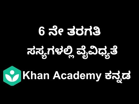 Diversity in Plants [Kannada] | Class 6 | Science | Khan academy
