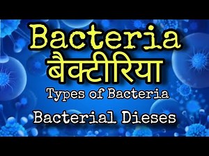 Bacteria Bacteria Types of Bacteria Harmful Activities of Bacteria