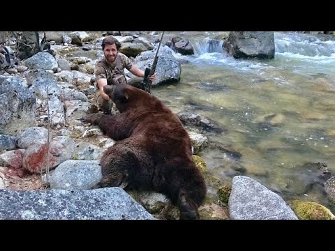 Idaho Black Bear Hunting - One Behemoth Bear! - The Balance #1 - Limitless 61