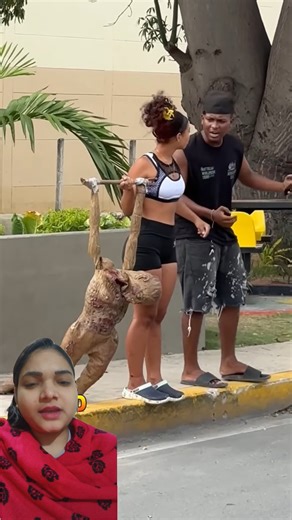 ✨Best funniest video compilation😂 2025 #fun #funnyvideos #funny #comedy