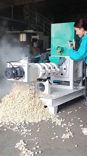 Extruder, dry extruder, wet extruder#Extruder, dry extruder, wet extruder#machine