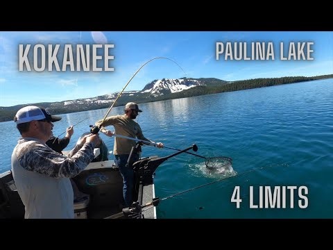 So Many Kokanee!! Paulina Lake has them. #kokanee, #paulinalake, #fishingvideo, #howtocatchkokanee,