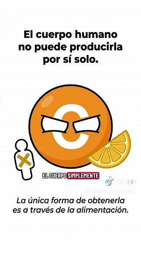 Vitamina C: ¿Para qué sirve y tipos de vitaminas explicadas