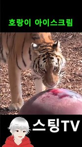 Tiger Ice Cream