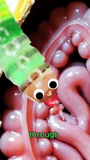 Zombie Snail Parasite Controls Its Brain! (Real Nature Horror) Science Lessons Learn Something New