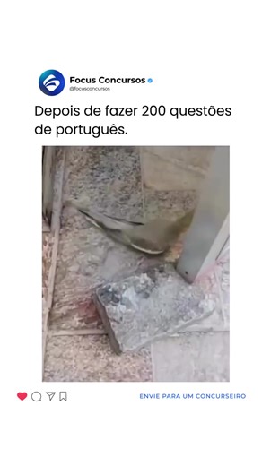 Paróquia Cítrica: Invasão Inusitada em Casa