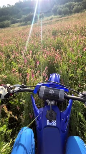 Yamaha YZ125: A Journey into the YZ Family