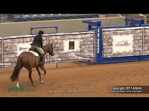 A Judge's Perspective: 2017 AQHA Select Hunter Hack World Champion