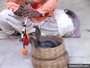 Encantador de serpentes on Make a GIF