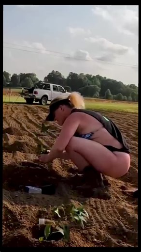 Can't wait to get back in the garden