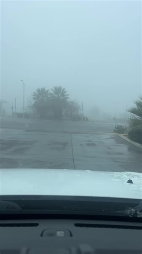 🍅Mi sinaloa-35🍅 (@sinaloa.eve)’s videos with Contra Mis Principios - Bonus Track - Lenin Ramírez & Remmy Valenzuela