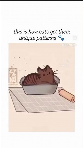 “The Secret Behind Cat Fur Patterns 🤯” #shortvideos#snacks #catshorts #cats