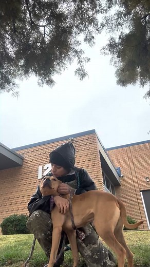 11K views · 518 reactions |  Meet Winnie the Pooh  This honey-sweet...