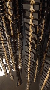 9.3K views · 76 reactions | Here are the two factors that make Japanese calligraphy ink so expensive | Business Insider Africa | Facebook