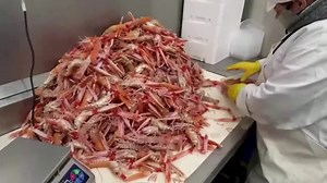 Scottish fishermen halt exports, Brexit blamed