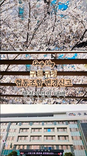 협동조합 정관변경, 임원, 주소 변경신고 구로구청 vlog