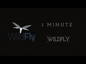 WildFly in One Minute: Unleash Java Enterprise Power!
