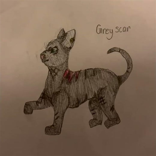 Warrior Cats OC???✨💃👹