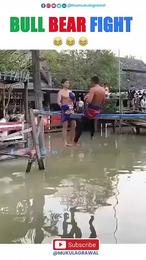 36K views · 403 reactions | Who will be winning? 藍藍藍藍 . . #traders #trading #profit #bear #bull #reels #nifty #funny #stocks #Stockmarket #memes #stockmarketmemes #investment #stockmarket #investing #mukulagrawal | Share News Today | Facebook