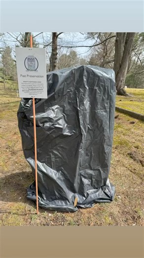 23K views · 328 reactions | Preservation work has started! These 4...