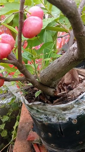 Process regulation #exampling#natrium zat