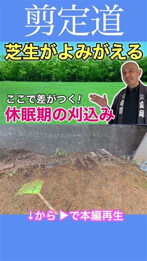 Reviving your lawn: Here's the difference that comes from proper mowing techniques #pruning #agri...