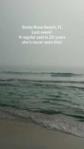 Shark Sightings at Santa Rosa Beach