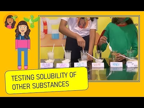 Solubility Of Different Substances In Water | JUNIOR SCIENCE EXPERIMENTS
