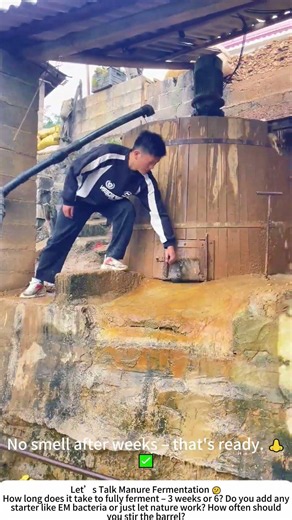 Fermenting Manure in a Wooden Barrel – Black Gold for the Garden 💩