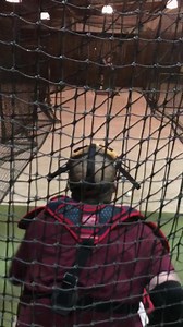 2.9K views · 37 reactions | The Bus! | Charlie Robison | Facebook