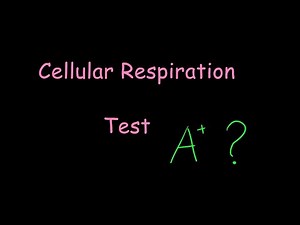 Cellular Respiration Test glycolysis Krebs cycle ETC quiz
