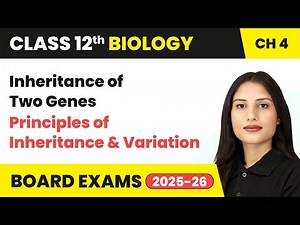 Inheritance of Two Genes - Principles of Inheritance & Variation | Class 12 Biology Chapter 4 | CBSE