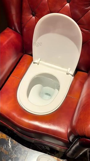 The broken toilet seat completely sucked me in 🚽❓