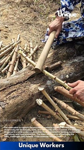 Traditional Wood Cutting: Man Skillfully Splits Bamboo Sticks Using Hand Tool