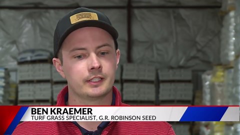 Spring lawn care: Mow, apply pre-emergent and seed as needed