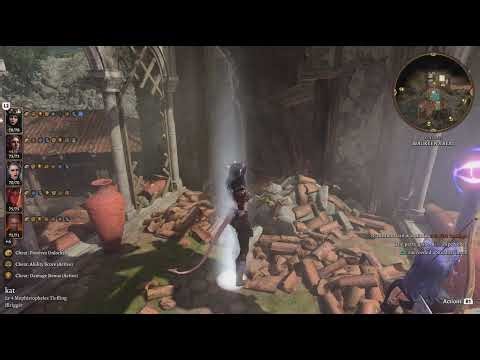 Playing BG3 with mods&cheats