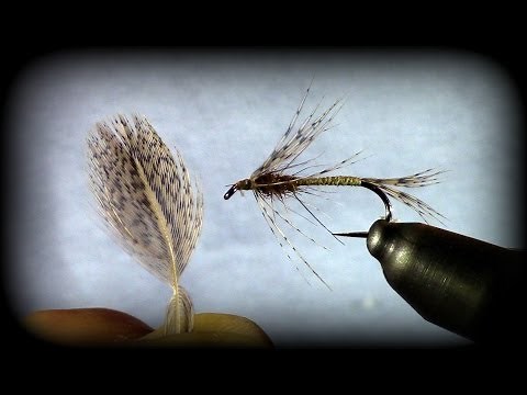Fly Tying Techniques: Hungarian Partridge Feathers