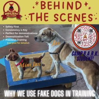 🐾 Behind the Scenes at Noble Beast: Why We Use Fake Dogs in Training 🐕 Ever wondered why you might spot a stuffed dog at one of our training sessions? Let's pull back the curtain and share a little industry secret! 1️⃣ Safety First: Fake dogs allow us to simulate challenging scenarios without putting real dogs at risk. It's a safe way to practice techniques for reactive or aggressive behaviors. 2️⃣ Consistency is Key: Unlike real dogs, our stuffed friends always behave the same way. This consi
