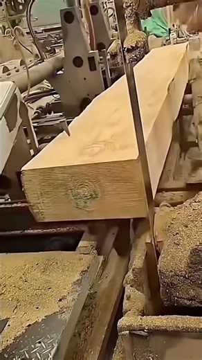 Wood processing plant operation process