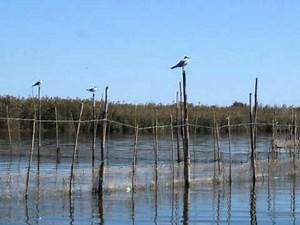 La Albufera de Valencia