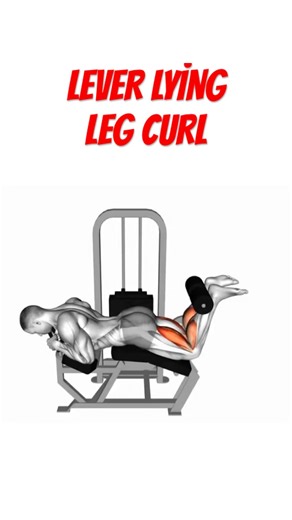 Lever Lying Leg Curl | Build Bigger Hamstrings🔥
